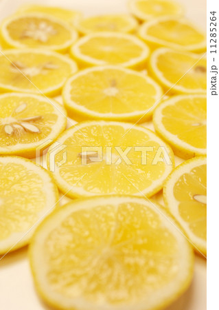 ニューサマーオレンジ ニューサマーオレンジ 11285264