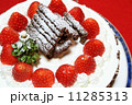 手作りのクリスマスケーキ 11285313