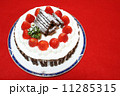 手作りのクリスマスケーキ 11285315