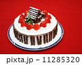 手作りのクリスマスケーキ 11285320