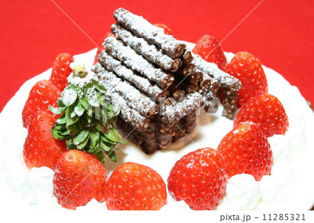 手作りのクリスマスケーキ 手作りのクリスマスケーキ 11285321