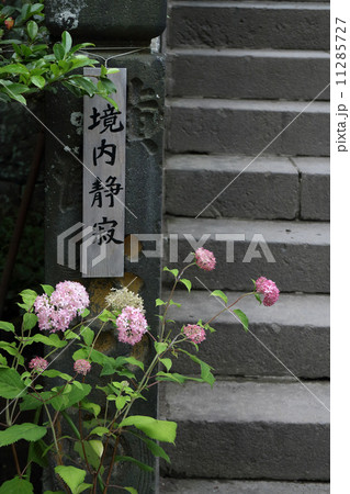 鎌倉風景 11285727