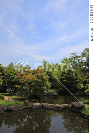 夏の好古園 11285844