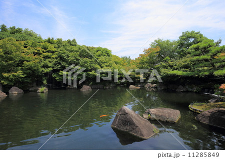 夏の好古園 夏の好古園 11285849