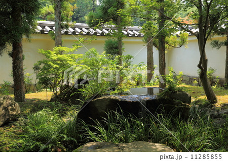 夏の好古園 11285855