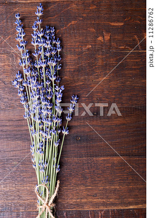 lavender lavender 11286762
