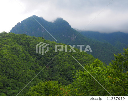 山梨　西沢渓谷 11287059