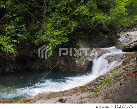 山梨　西沢渓谷 11287079