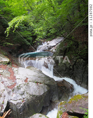 山梨　西沢渓谷 11287082