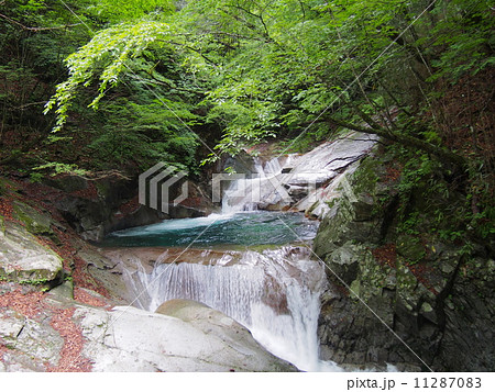 山梨　西沢渓谷 11287083