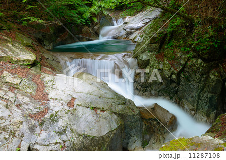 山梨　西沢渓谷 11287108