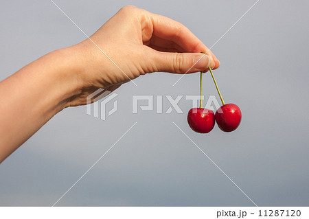 hand holding cherry hand holding cherry 11287120