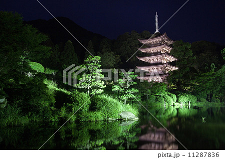 瑠璃光寺 瑠璃光寺 11287836