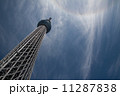 東京スカイツリー 11287838
