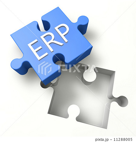 Puzzle ERP 11288005