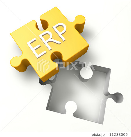 Puzzle ERP 11288006