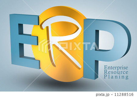 Enterprise Resource Planning 11288516