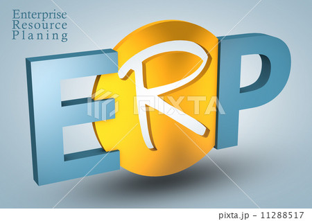 Enterprise Resource Planning 11288517