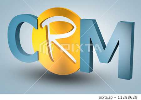 Customer Relationship Management 11288629