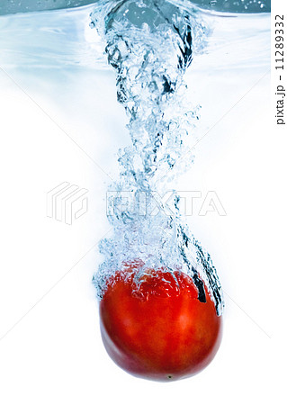 水に沈むトマト 11289332
