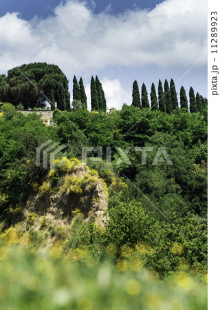 Tuscany landscape Tuscany landscape 11289923