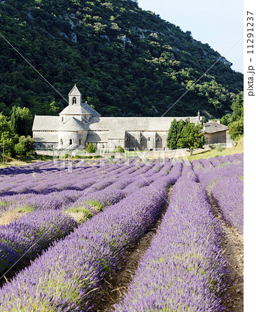 Senanque abbey with lavender field, Provence, France Senanque abbey with lavender field, Provence, France 11291237