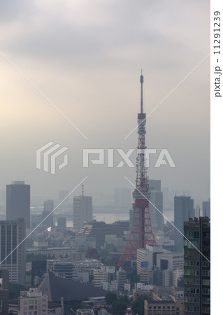 朝霞みの東京タワー 11291239