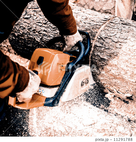 Man sawing a log in his back yard 11291788
