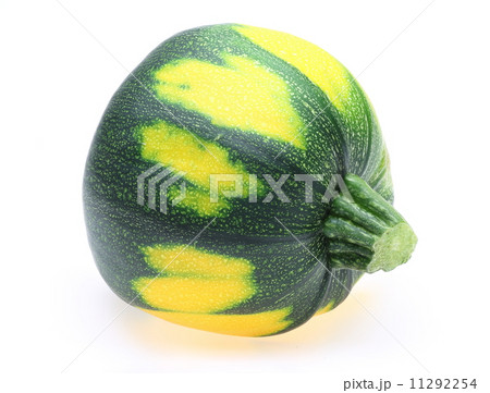 ズッキーニ ズッキーニ 11292254