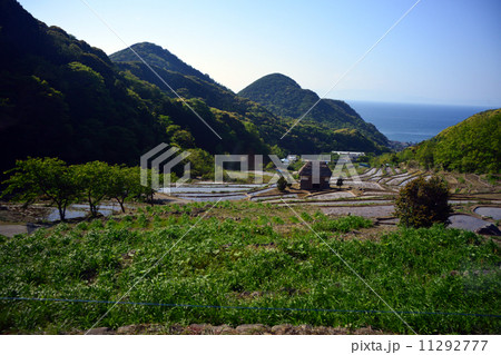 棚田 棚田 11292777