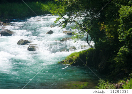 渓流 11293355