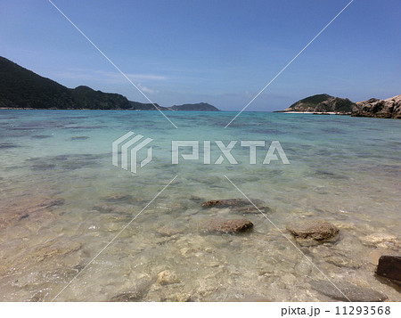 阿波連ビーチの浅瀬 11293568