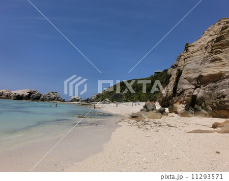 阿波連ビーチで秘境気分 阿波連ビーチで秘境気分 11293571