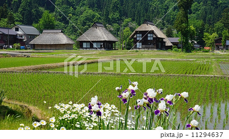 新潟高柳のかやぶきの家 11294637