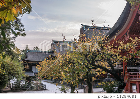 北野天満宮 11294681