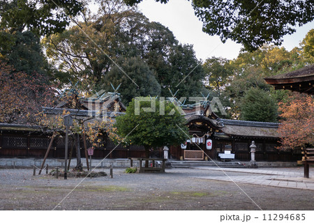 平野神社 本殿 平野神社 本殿 11294685