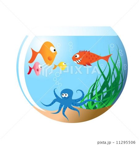 Various fishes in aquarium Various fishes in aquarium 11295506