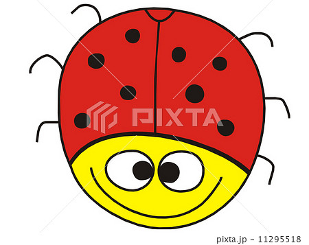 Funny ladybug 11295518