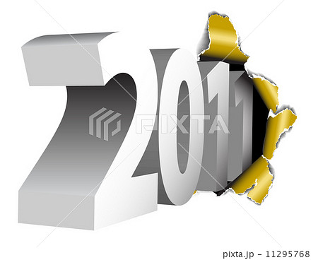 2011 New Year card 11295768