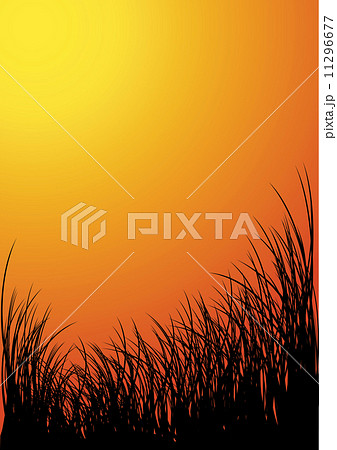 Vector grass silhouette background - sunset Vector grass silhouette background - sunset 11296677