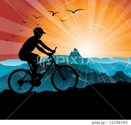 Silhouette of the biker 11296765