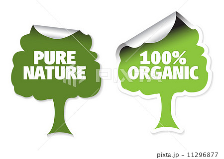 Set of tree labels 11296877