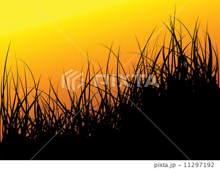 Green vector grass background 11297192