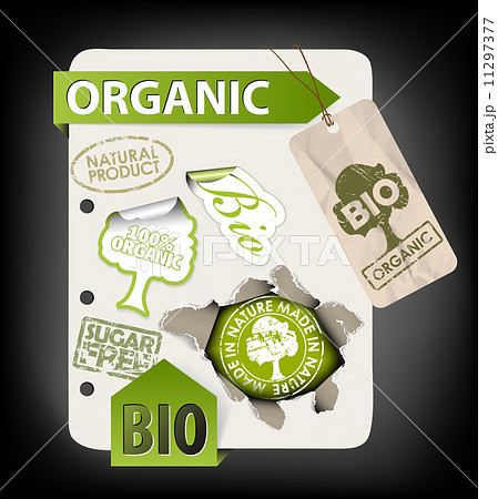 Set of bio, eco, organic elements 11297377