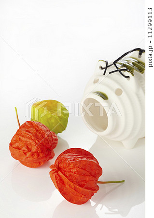 ほおずき ほおずき 11299113