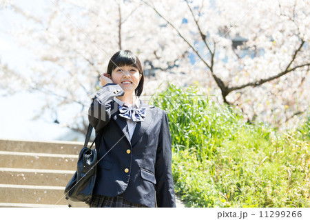 桜と女子校生 11299266