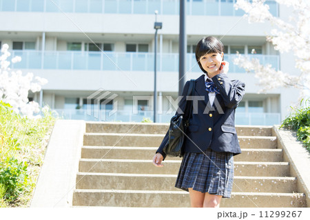 桜と女子校生 桜と女子校生 11299267