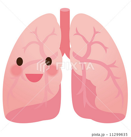 医療 肺 臓器のイラスト素材