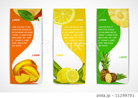 Tropical fruits vertical banner set 11299701