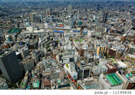 サンシャイン60より池袋駅周辺の街並みを臨む 11299836